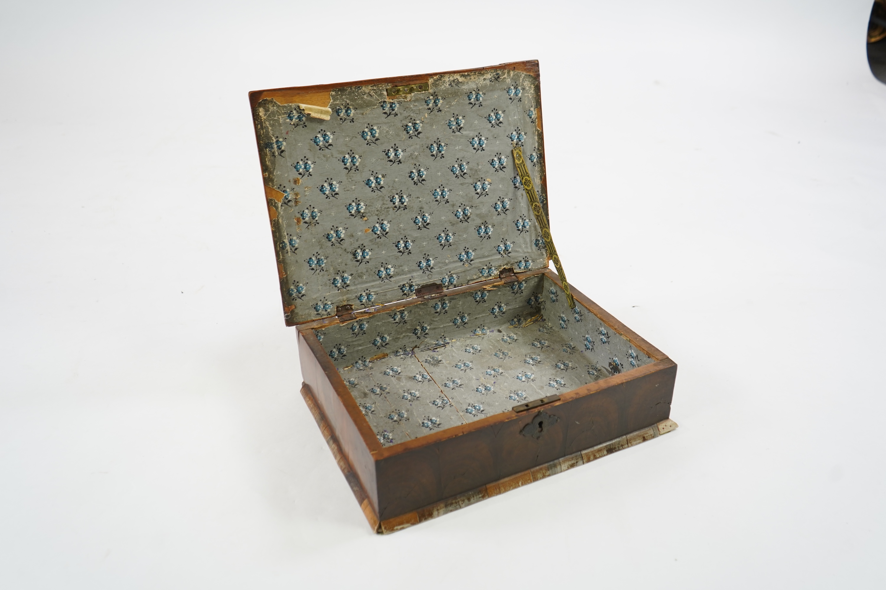 A William and Mary oyster olivewood veneered lace box